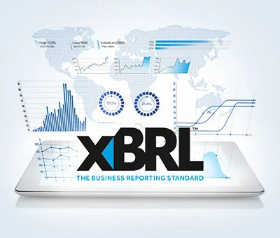 ماژول XBRL